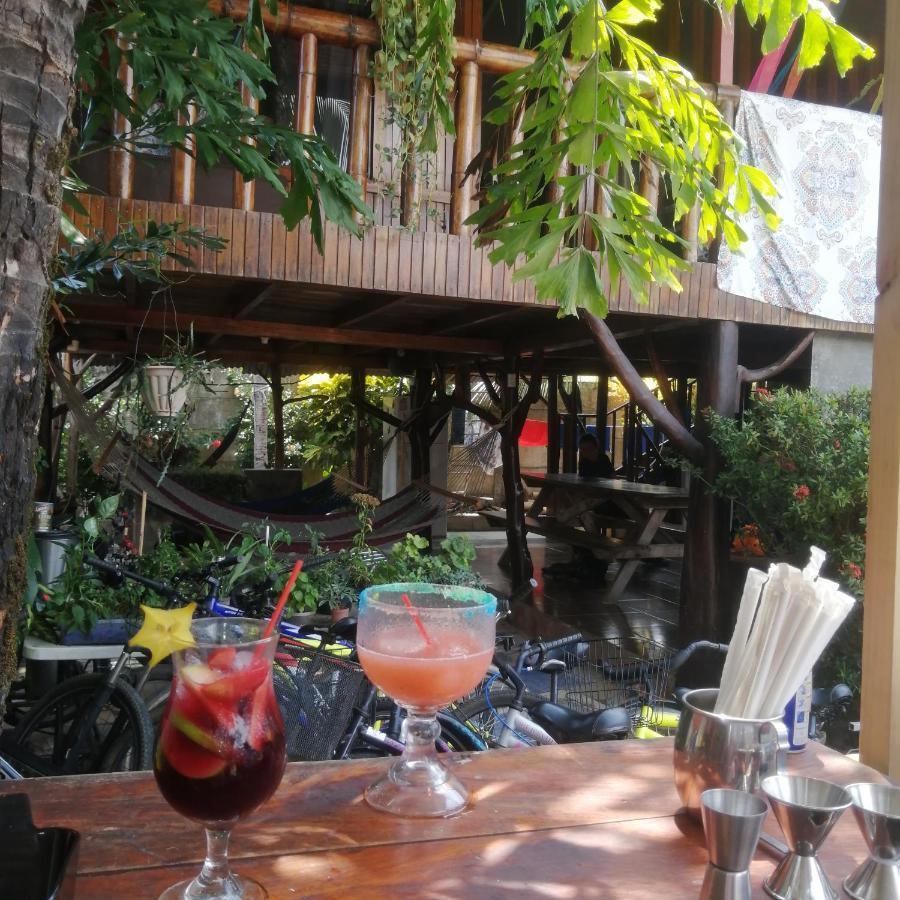 אוביטה Malinchehostel מראה חיצוני תמונה